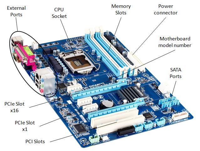 Motherboard Labeled