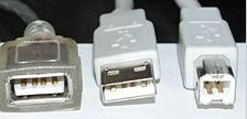 standard usb connectors